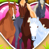 play Horsecare Apprenticeship