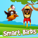 play Smart Birds