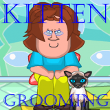 play Kitten Grooming