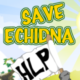 play Save Echidna