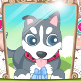 play Cute Pets Today