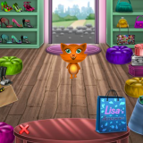 play Lisa'S Accesories