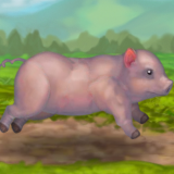 play Clean Little Piggy