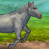 play My Brave Horse
