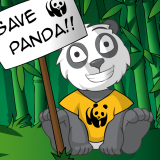 play Panda Dress Up