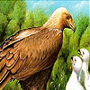 play Hungry Mountain Birds Slide Puzzle