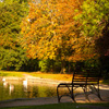 play Jigsaw: Autumn Pond