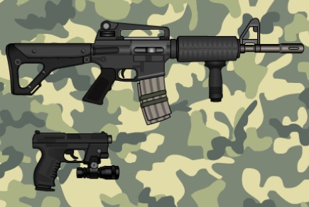 play Professional Gun Customizer