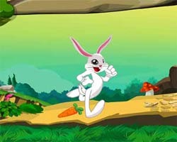 play Little Rabbit