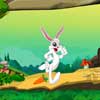 play Little Rabbit
