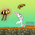 play Little Rabbit