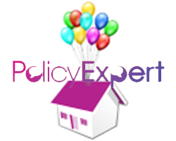 play The Policy Expert