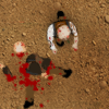 play Carveola Files