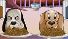 play Dog Competition