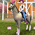 play Horse Eventing 3