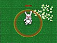 play Senso Rabbit