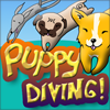 play Puppy Diving