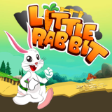 play Little Rabbit