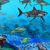 play Underwater Fish Hidden Objects