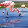 play Beautiful Flamingos Puzzle