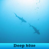 play Deep Blue. Find Objects