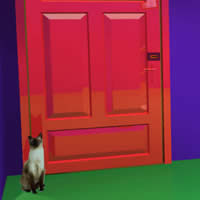 play Siamese Cat Escape
