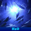 play H2O. Find Objects