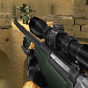 play Counter Strike De Heikka