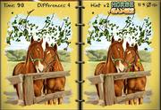 play Horses Art Book