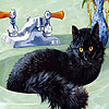 Cat In The Bath Slide Puzzle