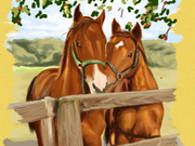 play Horses Art Book