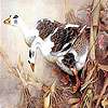 play Brown Goose Family Puzzle