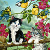 play Crazy Cats And Birds Slide Puzzle