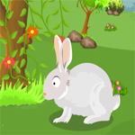 play Rabbit Escape