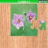 play Flowers 8