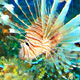 play Ocean Pieces