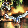play Flying Birds Slide Puzzle