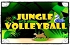 play Jungle Volleyball 2Player