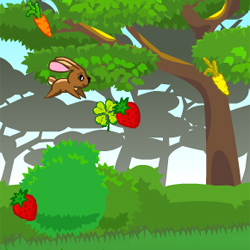 play Fluffy Runner