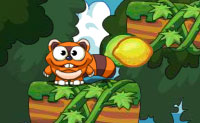 play Raccoon Jump