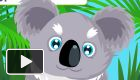 play Koala Care