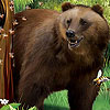 play Bear In The Forest Slide Puzzle