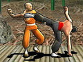 play Dragon Fist 3D