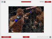 play Ufc Fighters