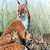 play Fox Family In The Nature Puzzle