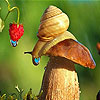 play Rainy Day And Snail Puzzle