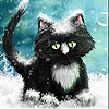play Sorrowful Cat Slide Puzzle