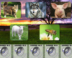 play Guess The Animal Sounds