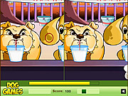 play Dog Difference