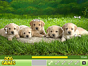 play Hidden Bones